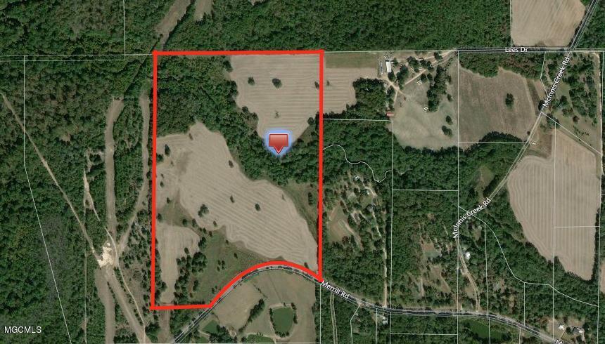 80-ac Merrill Road Lucedale, MS 39452 - Photo 1 of 40 Screen Shot 2019-10-31 at 8.59.25 AM