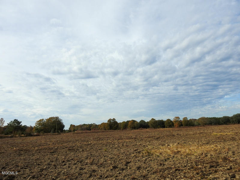 80-ac Merrill Road Lucedale, MS 39452 - Photo 11 of 40 DSCN9601