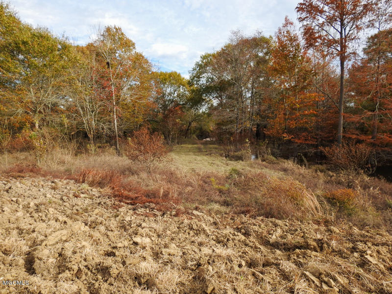 80-ac Merrill Road Lucedale, MS 39452 - Photo 15 of 40 DSCN9605