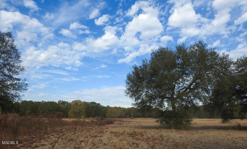 80-ac Merrill Road Lucedale, MS 39452 - Photo 2 of 40 DSCN9631