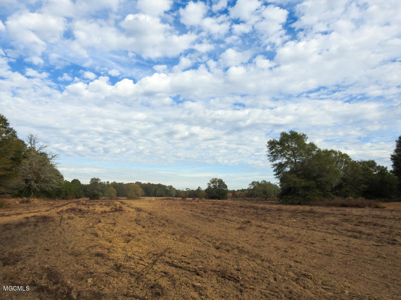 80-ac Merrill Road Lucedale, MS 39452 - Photo 32 of 40 DSCN9628