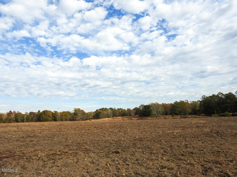 80-ac Merrill Road Lucedale, MS 39452 - Photo 38 of 40 DSCN9635