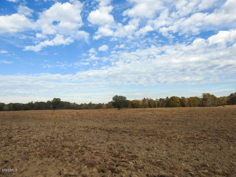 80-ac Merrill Road Lucedale, MS 39452 - Photo 39 of 40 DSCN9636