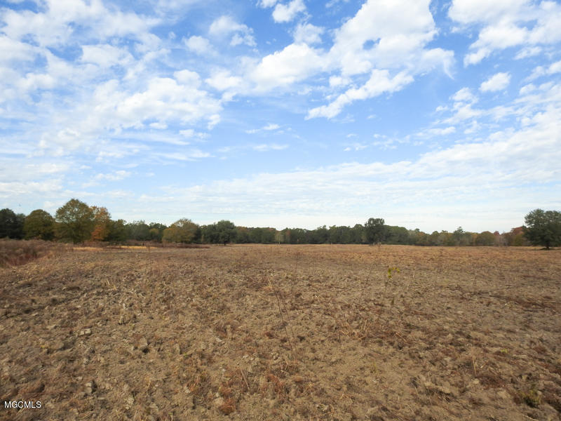 80-ac Merrill Road Lucedale, MS 39452 - Photo 40 of 40 DSCN9637