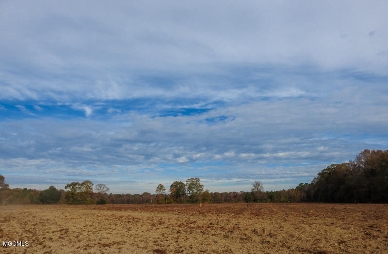 80-ac Merrill Road Lucedale, MS 39452 - Photo 4 of 40 DSCN9592
