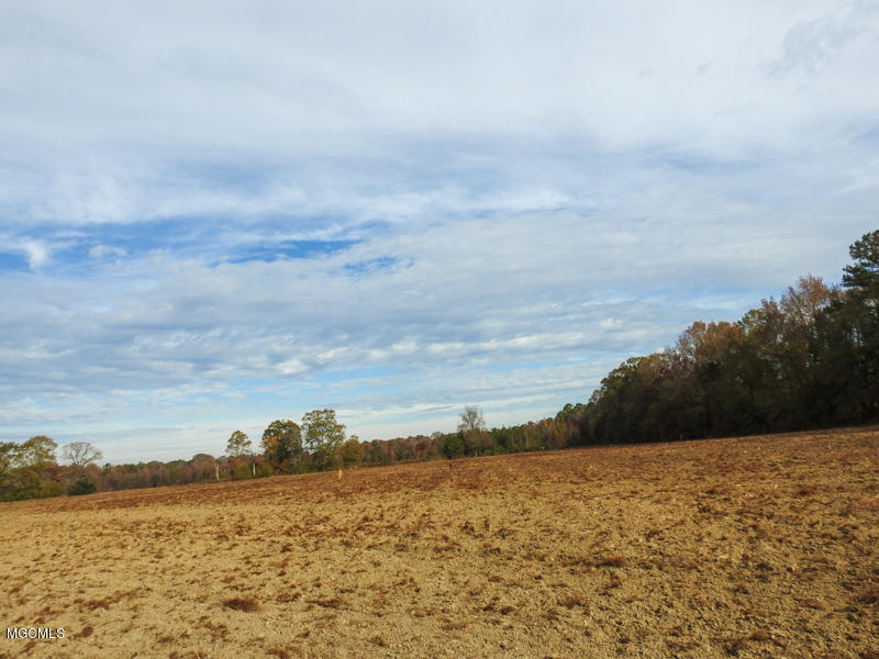 80-ac Merrill Road Lucedale, MS 39452 - Photo 5 of 40 DSCN9593