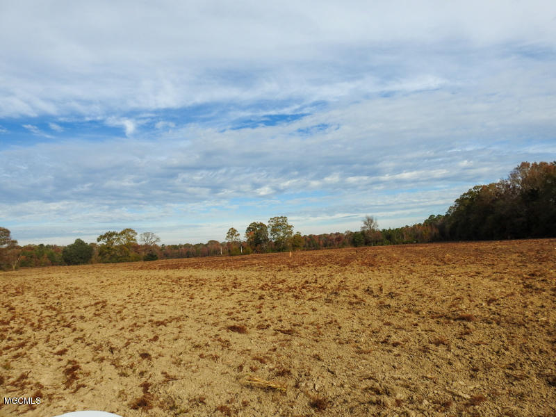 80-ac Merrill Road Lucedale, MS 39452 - Photo 6 of 40 DSCN9594