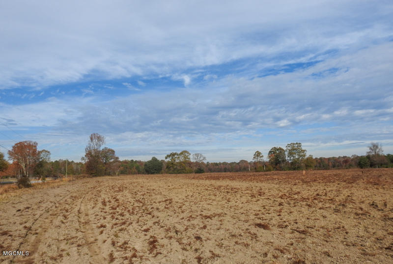 80-ac Merrill Road Lucedale, MS 39452 - Photo 7 of 40 DSCN9595