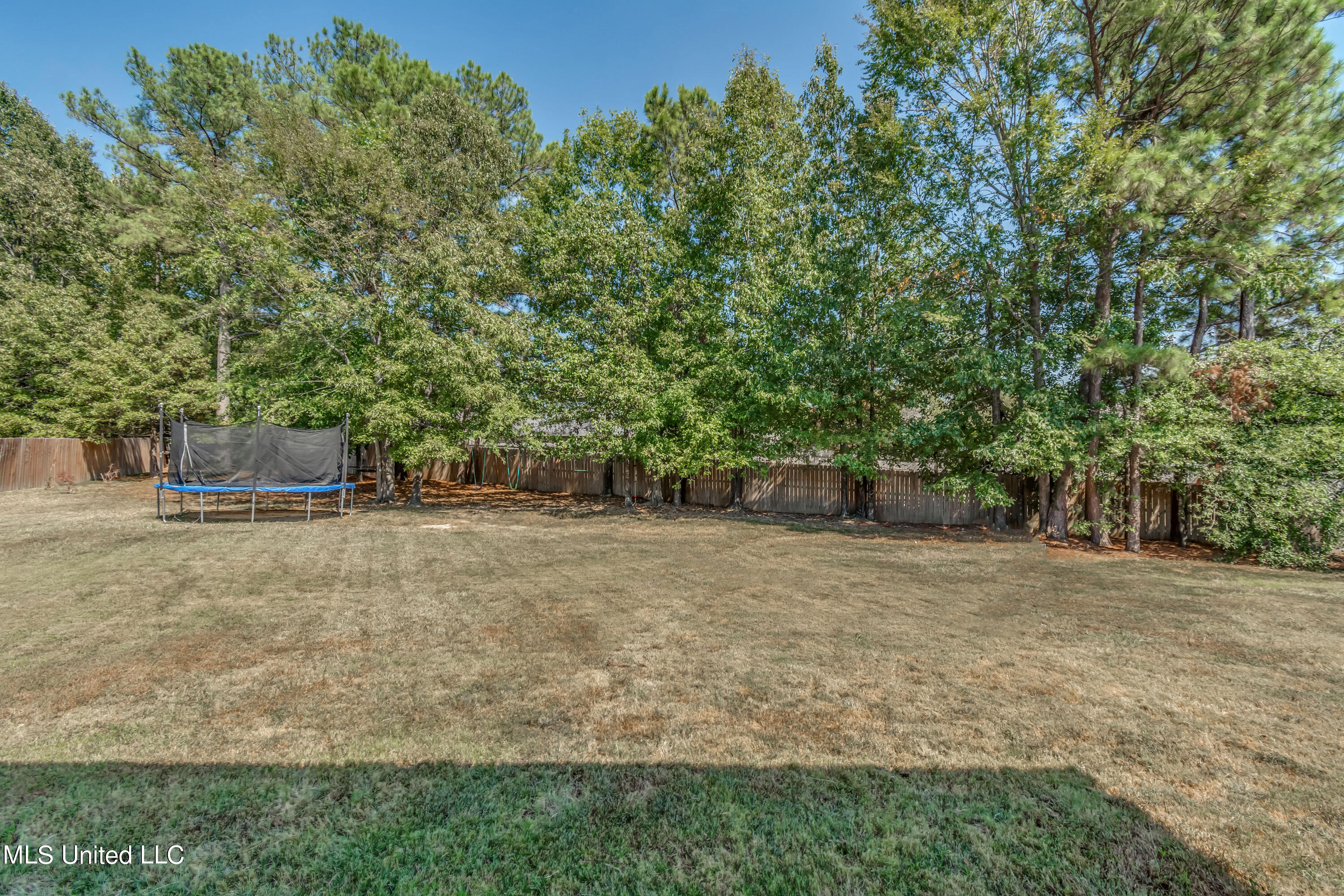 435 Springhill Point Brandon, MS 39047 - Photo 45 of 45 435 Springhill Pointe-24