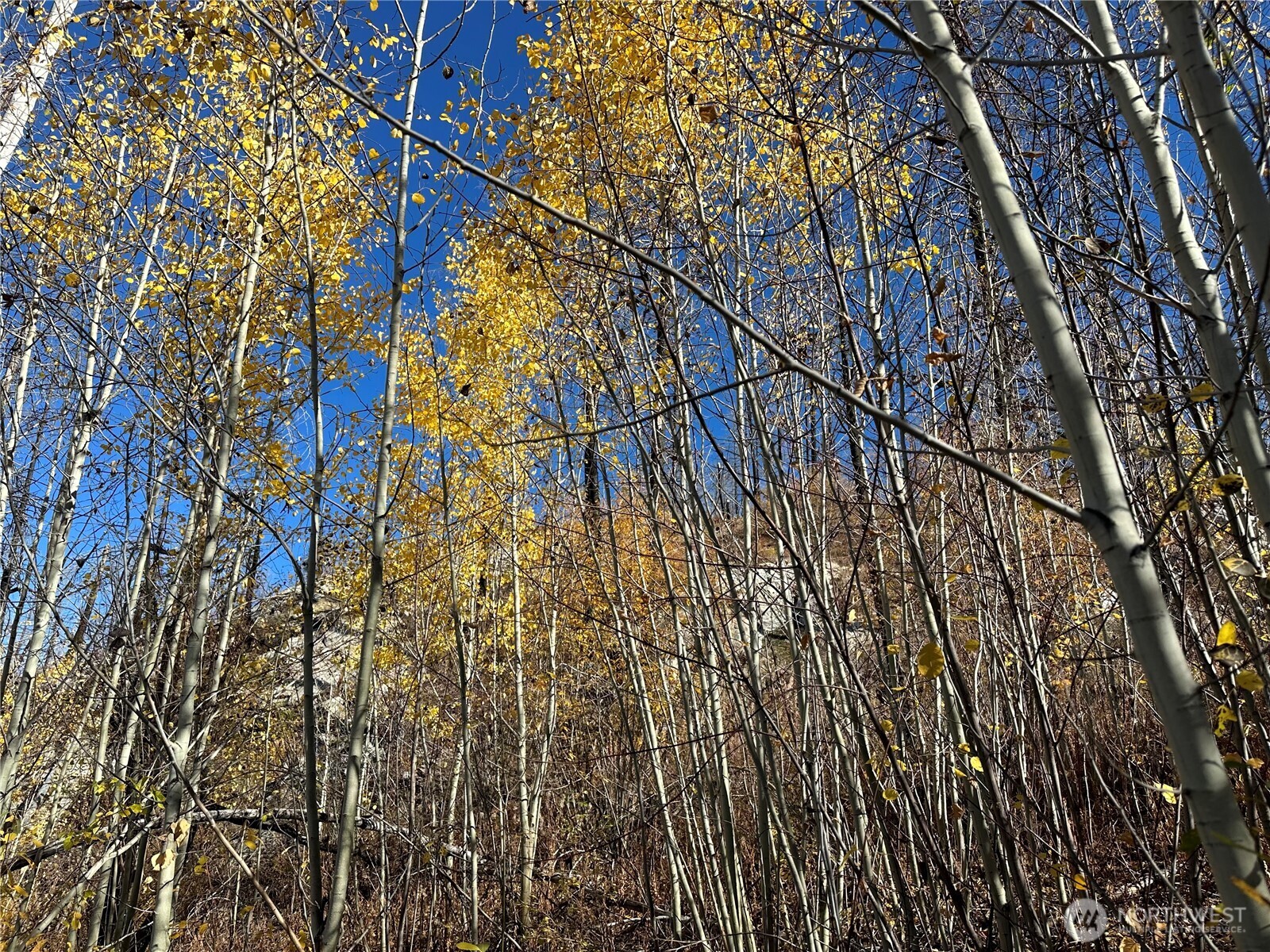 0 Tbd Evans Ranch Road Riverside, WA 98849 - Photo 1 of 20