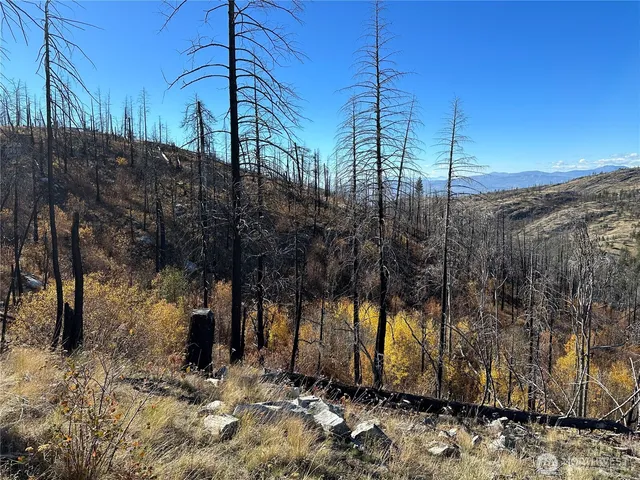 $18,500 | 0 Tbd Evans Ranch Road, Riverside, WA 98849