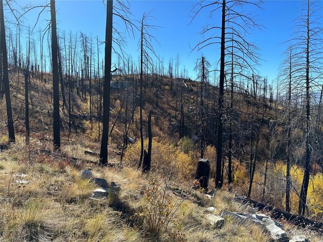 $20,000 | 0 Tbd Evans Ranch Road, Riverside, WA 98849