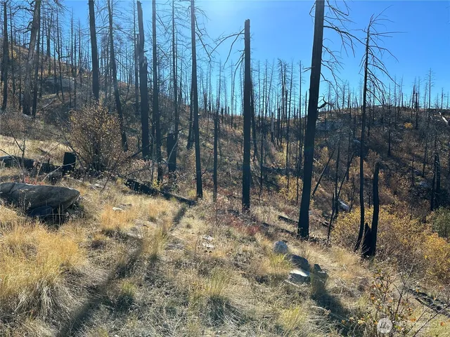 $18,500 | 0 Tbd Evans Ranch Road, Riverside, WA 98849