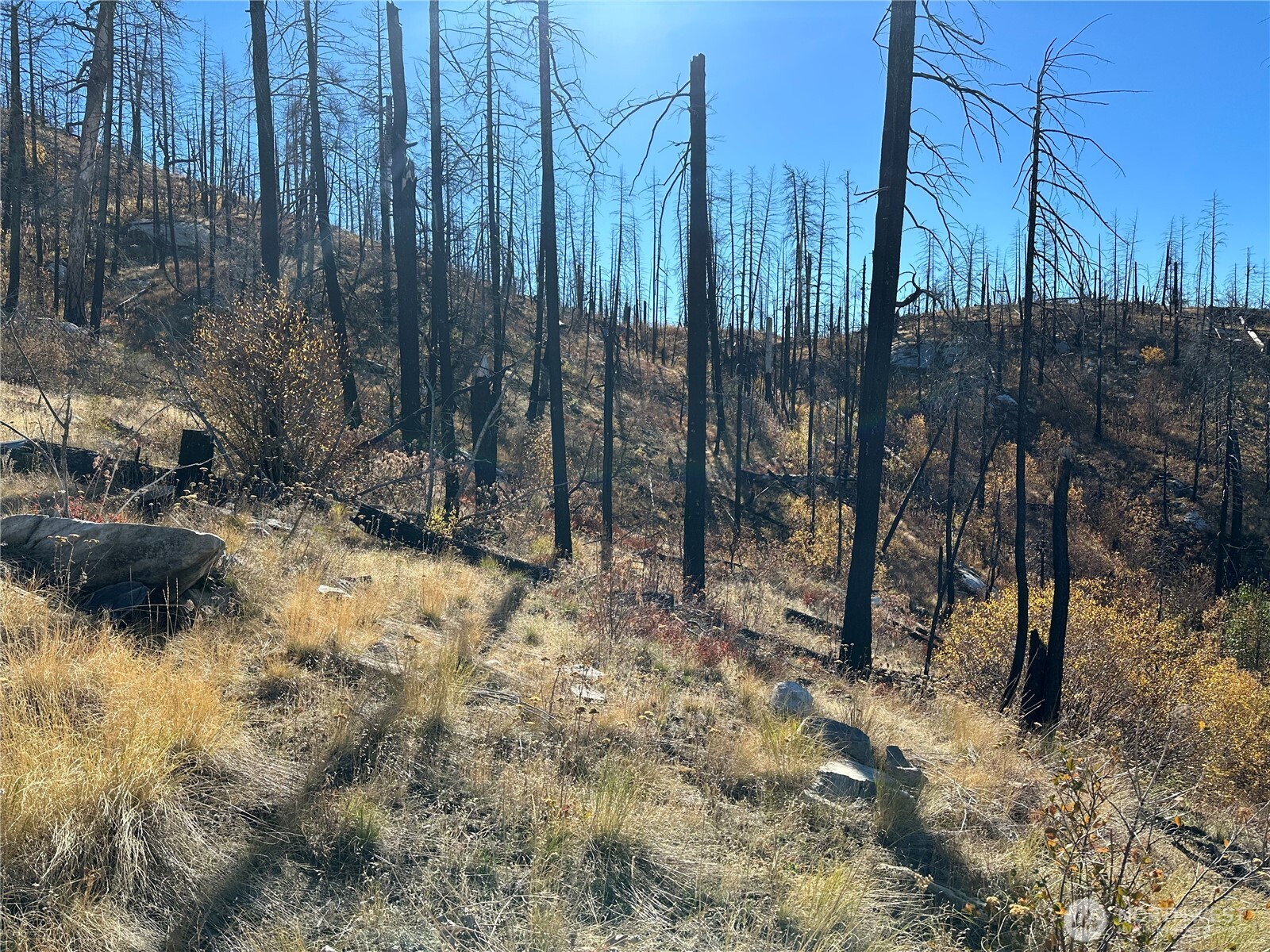 0 Tbd Evans Ranch Road Riverside, WA 98849 - Photo 13 of 20