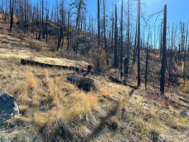 $18,500 | 0 Tbd Evans Ranch Road, Riverside, WA 98849