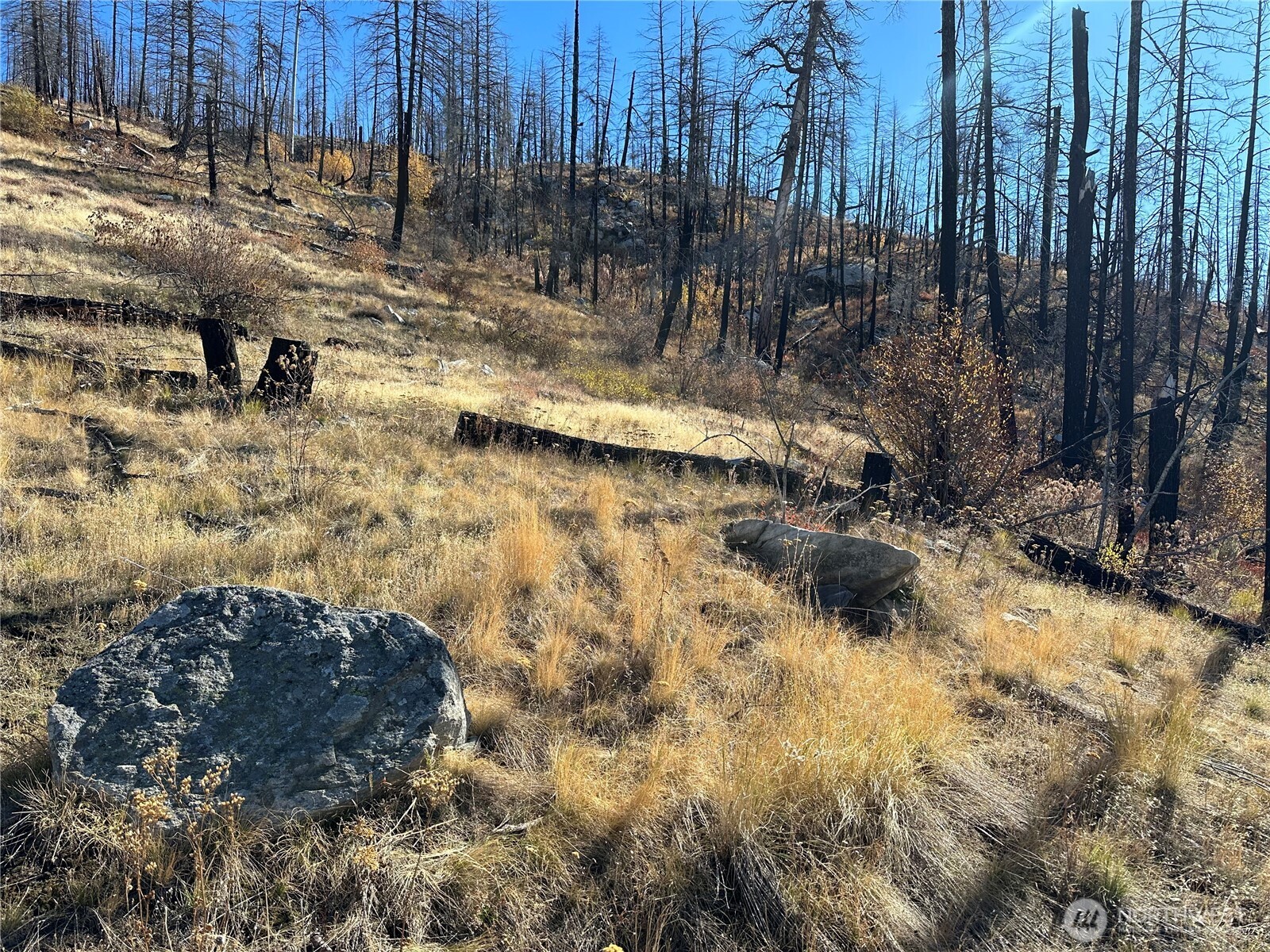 0 Tbd Evans Ranch Road Riverside, WA 98849 - Photo 15 of 20