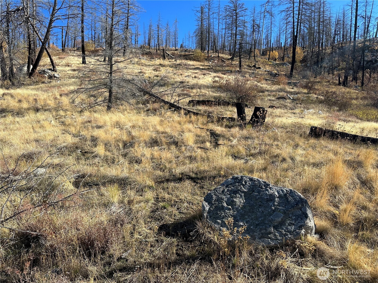 0 Tbd Evans Ranch Road Riverside, WA 98849 - Photo 16 of 20