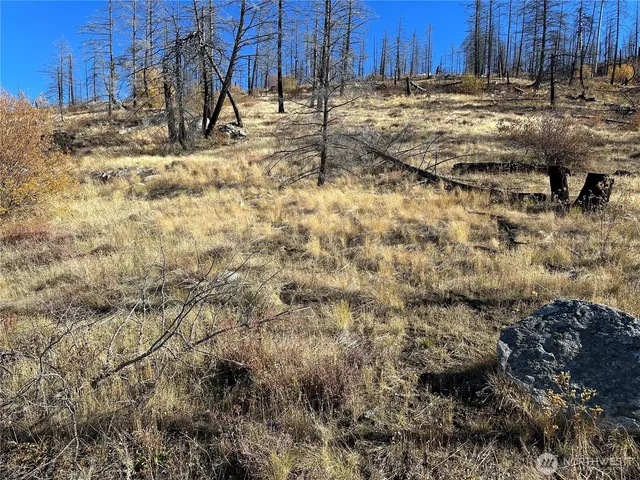 $18,500 | 0 Tbd Evans Ranch Road, Riverside, WA 98849