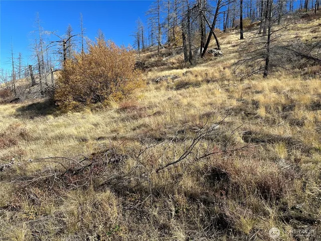 $18,500 | 0 Tbd Evans Ranch Road, Riverside, WA 98849