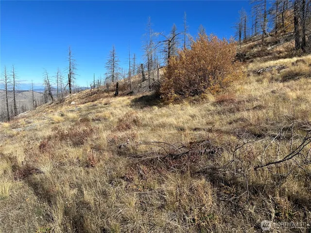 $18,500 | 0 Tbd Evans Ranch Road, Riverside, WA 98849