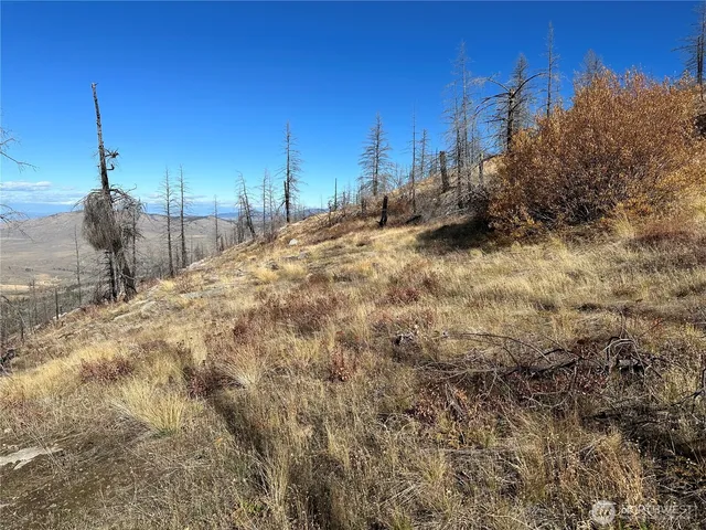 $18,500 | 0 Tbd Evans Ranch Road, Riverside, WA 98849