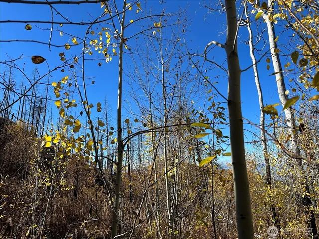 $18,500 | 0 Tbd Evans Ranch Road, Riverside, WA 98849