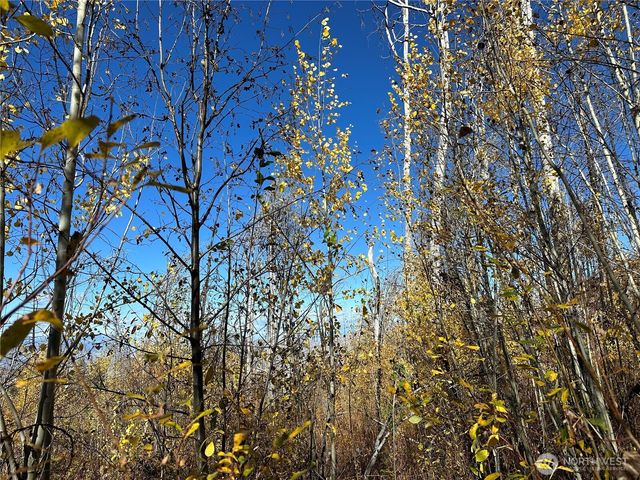 $20,000 | 0 Tbd Evans Ranch Road, Riverside, WA 98849