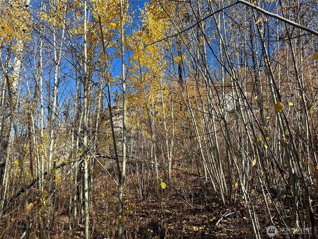 $20,000 | 0 Tbd Evans Ranch Road, Riverside, WA 98849