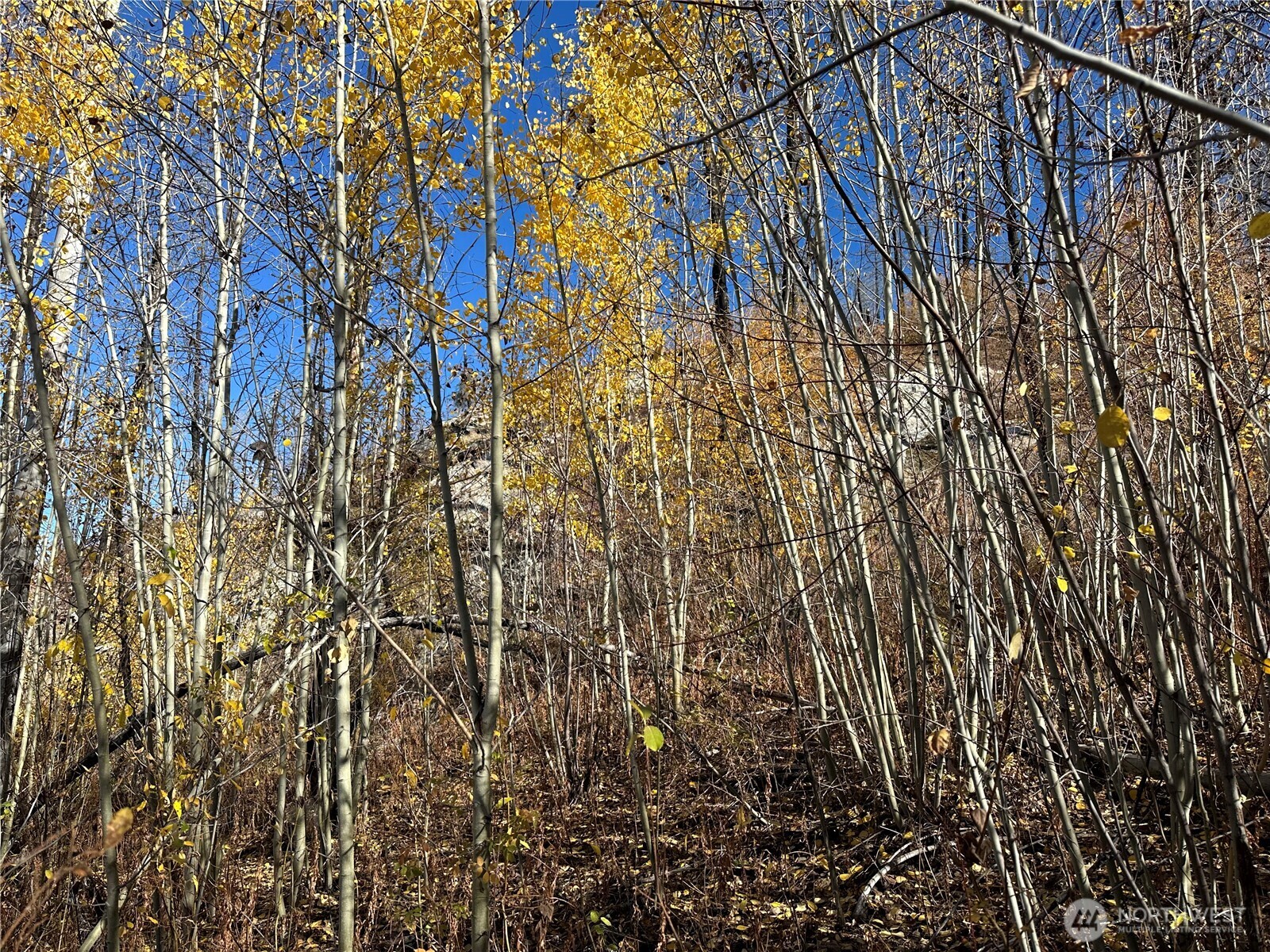 0 Tbd Evans Ranch Road Riverside, WA 98849 - Photo 4 of 20