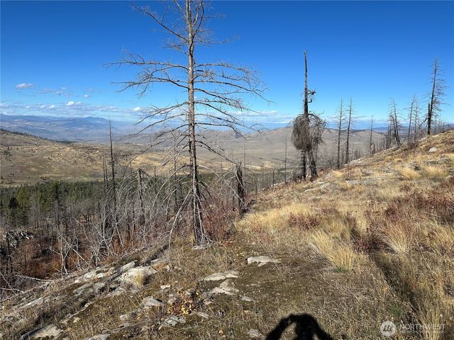 $20,000 | 0 Tbd Evans Ranch Road, Riverside, WA 98849