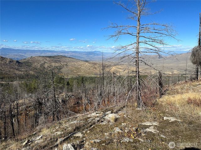 $20,000 | 0 Tbd Evans Ranch Road, Riverside, WA 98849