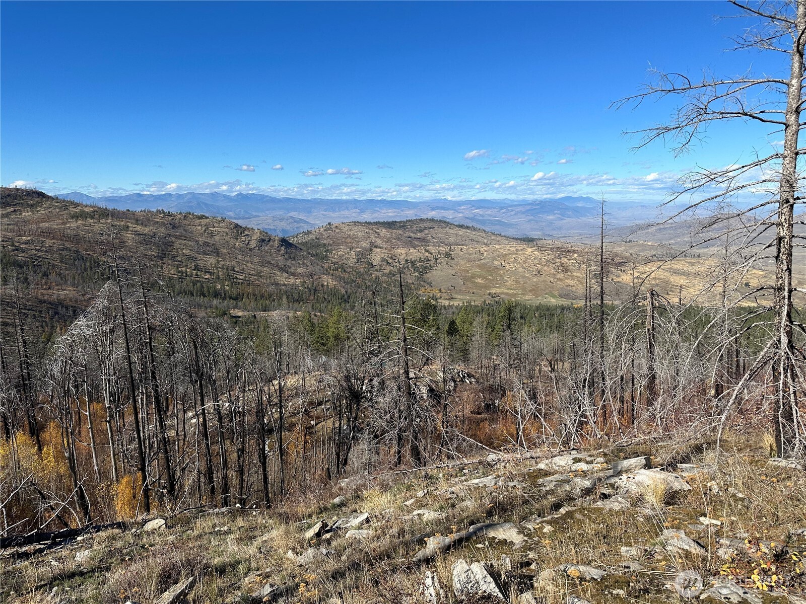 0 Tbd Evans Ranch Road Riverside, WA 98849 - Photo 7 of 20