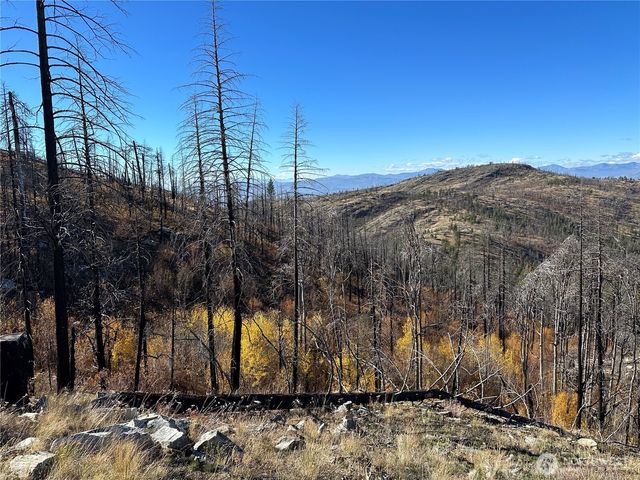 $20,000 | 0 Tbd Evans Ranch Road, Riverside, WA 98849