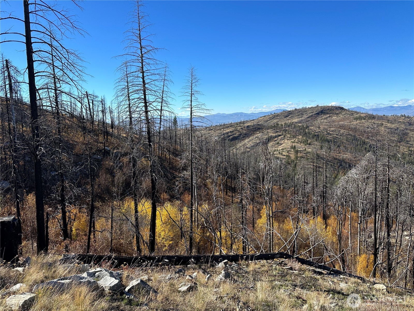 0 Tbd Evans Ranch Road Riverside, WA 98849 - Photo 10 of 20