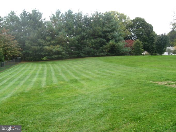 800 Boom Road Berryville, VA 22611 - Photo 7 of 13 a backyard of a house with lots of green space