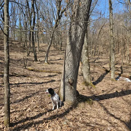 $495,000 | W13942 County Road B, Fairchild, WI 54741