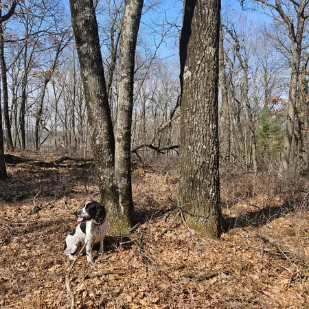 $495,000 | W13942 County Road B, Fairchild, WI 54741