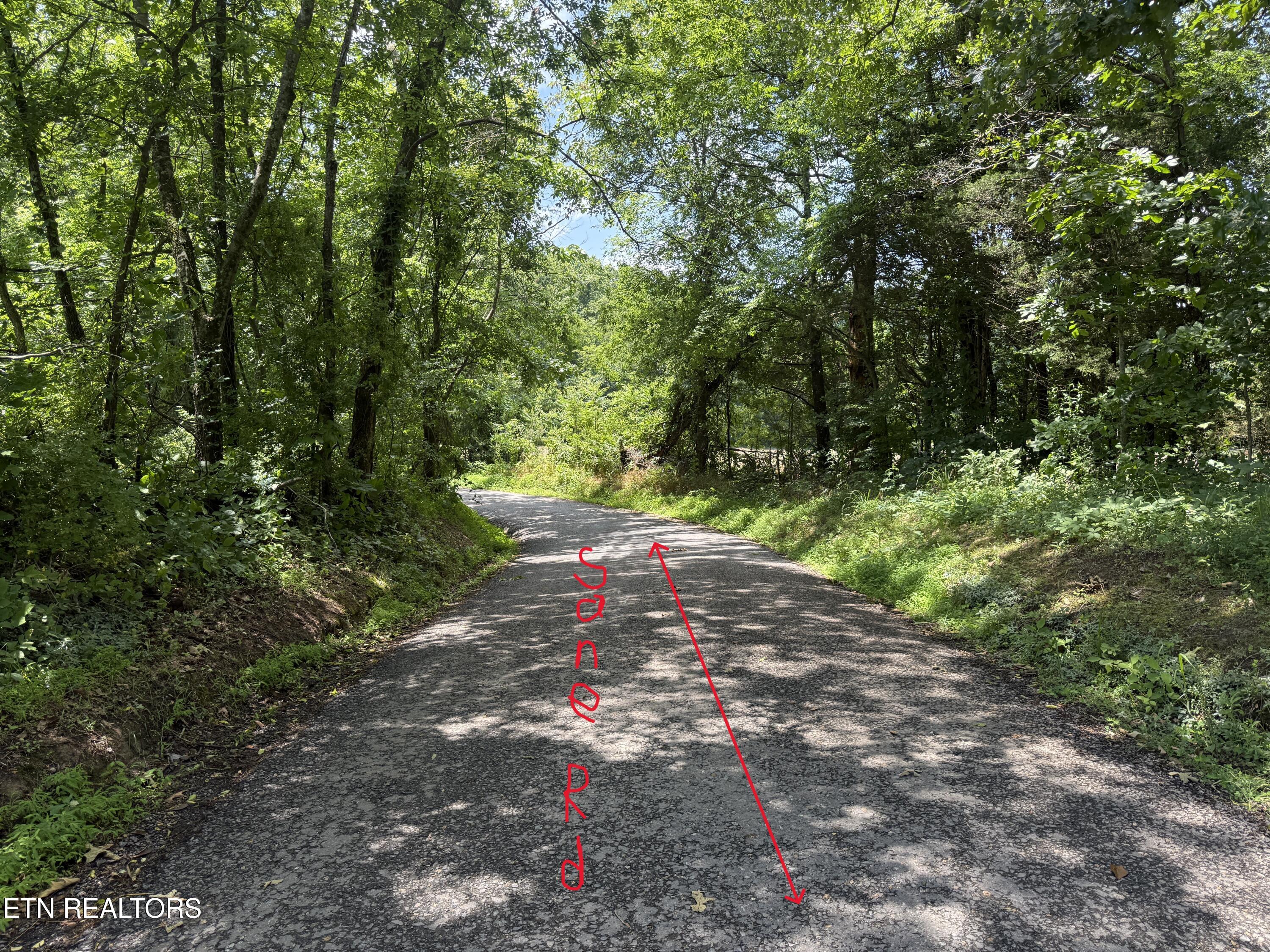 3697 Sane Road Parrottsville, TN 37843 - Photo 17 of 21 17
