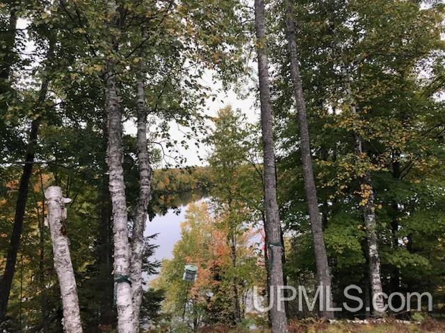 119 Maggie Lake Road Crystal Falls, MI 49920 - Photo 35 of 76