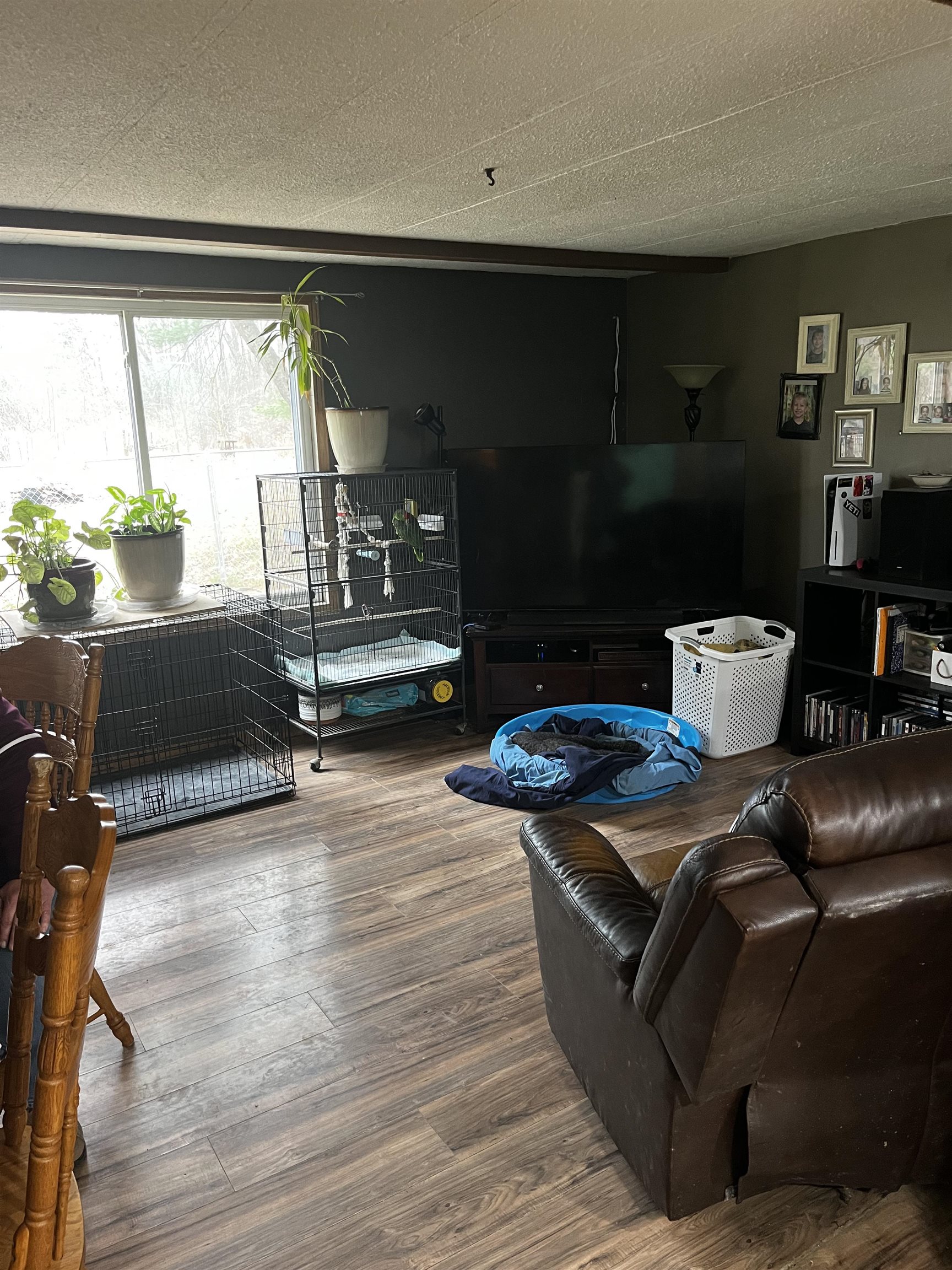 2250 East Haskell Lake Road Harrison, MI 48625 - Photo 11 of 38 Gallery Image 11