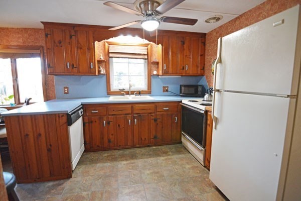 23 North Hood Street Springfield, MA 01109 - Photo 3 of 29 Gallery Image 3
