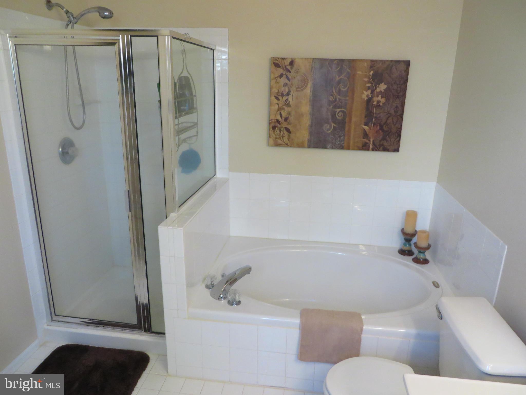 842 Sunny Chapel Road Odenton, MD 21113 - Photo 13 of 30 Bath (Master)