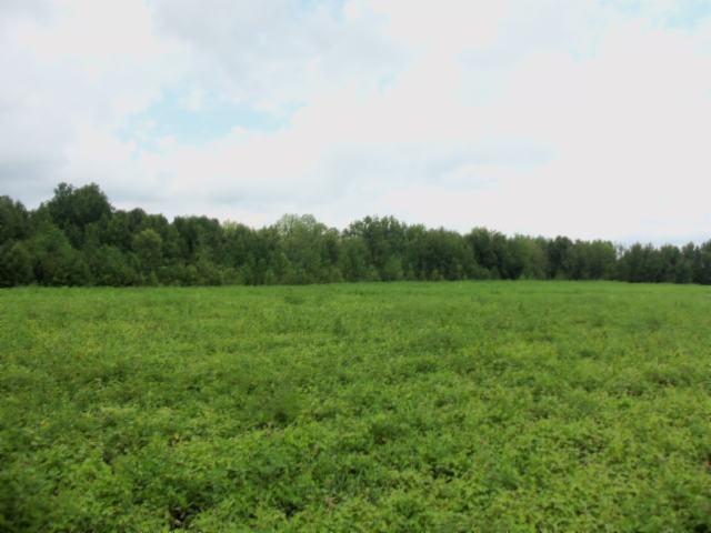 0 Baxter Road Baxter, TN 38544 - Photo 1 of 13