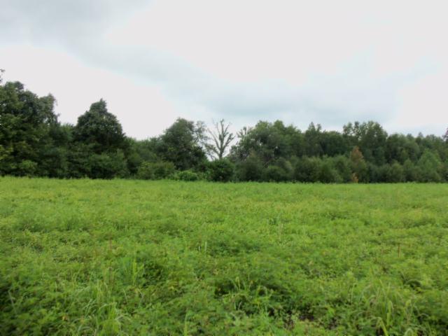 0 Baxter Road Baxter, TN 38544 - Photo 2 of 13