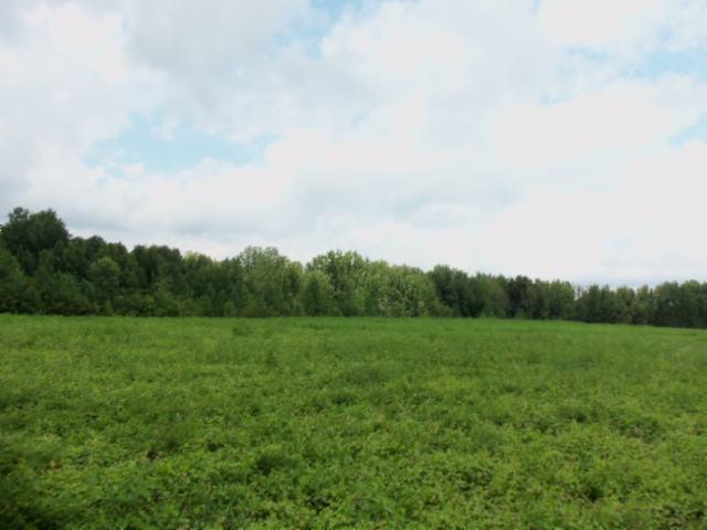 0 Baxter Road Baxter, TN 38544 - Photo 11 of 13