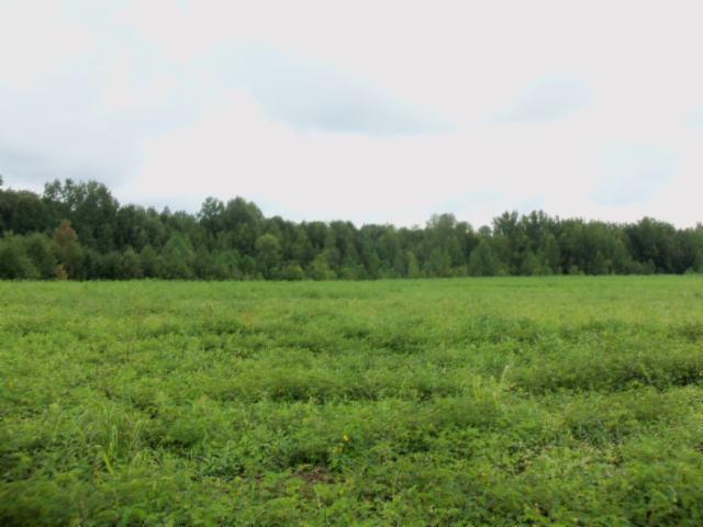 0 Baxter Road Baxter, TN 38544 - Photo 3 of 13