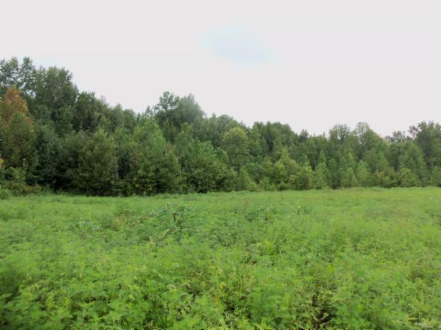 0 Baxter Road Baxter, TN 38544 - Photo 4 of 13