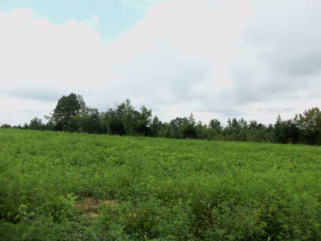 0 Baxter Road Baxter, TN 38544 - Photo 5 of 13