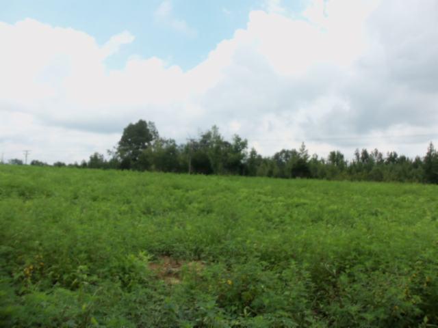 0 Baxter Road Baxter, TN 38544 - Photo 6 of 13