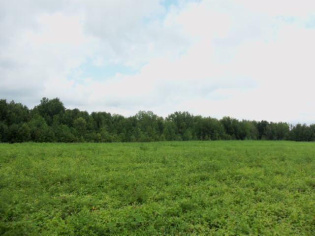 0 Baxter Road Baxter, TN 38544 - Photo 8 of 13